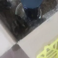 جوجه بوقلمون برنزه