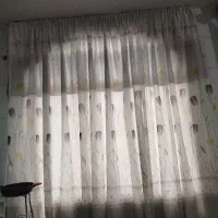 تعدادی وسایل خانه تمیز در حدنو