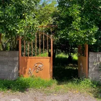 فروش زمین سند ششدانگ به متراژ ۱۸۰۰ متر *با کنتور