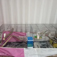 قفس سله ای