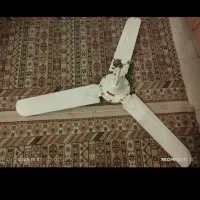 پنکه سقفی دو عدد