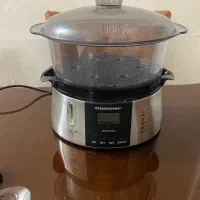 بخار پز رژیمی