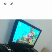تلوزیون