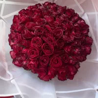 گل طبیعی رز ۱۰۰ شاخه شاین