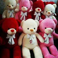 فروش خرس عروسکی پولیشی سایز xxxلارج
