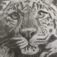نقاشی سیاه قلم