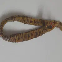 تسبیح