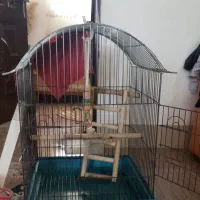 قفس کاسکو بزرگ