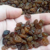 ماست چکیده کره عسل رب انارروغن گاو روغن گوسفند کشک
