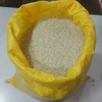برنج طارم هاشمی برداشت امسال