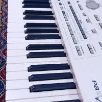 ارگ کورگ PA2X