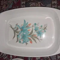 ظروف|ظروف سرو و پذیرایی|رفسنجان, |دیوار