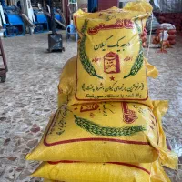 هاشمی درجه یک گیلان