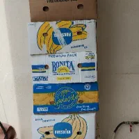 کارتن موز