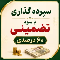 جذب سرمایه گذار، سود تضمینی 60%