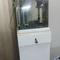 آکواریوم شرکتی