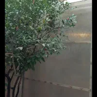 اجاره مغازه ۳۰متری مناسب انواع مشاغل
