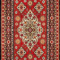 یک راننده قالیشویی