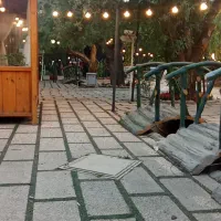 استخدام کارگر ساده