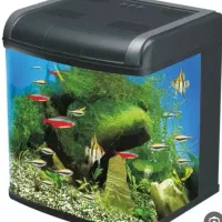 اکواریوم ماهیران بک سامپ ابشور اسکیمر ریف اختاپوس