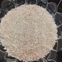 برنج دورود