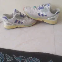 کتونیzx800