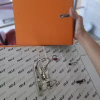 کلاسور
