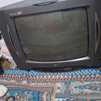 تلوزیون