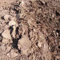 کود حیوانی تازه