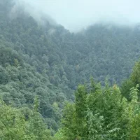 تور شمال