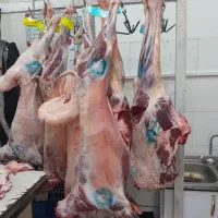 امکان خرید باکالا برگ گوشت گوسفندی گوساله گرم شتری