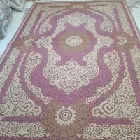 گلیم|گلیم، جاجیم، گبه|مریوان, |دیوار