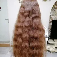 فروش و خریدارمو های بالای 50سانت
