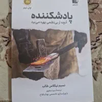 پاد شکننده نسیم طالب