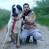الابای جفت کشش