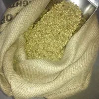 قهوه فول کافیین