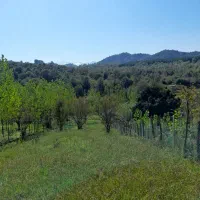زمین باغی جاده داخل زمین بهترین جا نزدیک آسفالت