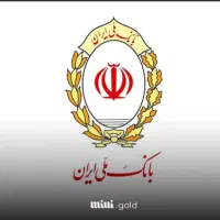 ضامن میشم چک دار