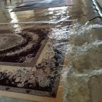 کارخانه قالیشویی فرش قرمز56160010