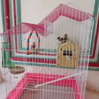 فنچ و قفس