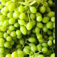 غوره عسگری ملایر