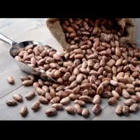 لوبیا چیتی درجه یک خوش پخت و تو پر