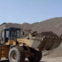 ماسه تنگل شور