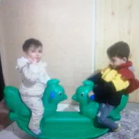 الکلنگ مدل خروس