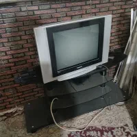 تلوزیون
