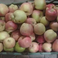 سیب قرمز تازه