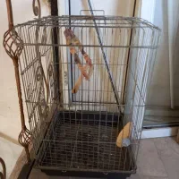قفس پرنده مناسب برا مرغ مینا  عروس هلندی
