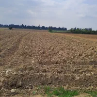 زمین-کشاورزی-1000متر-در-روستای-بالاجاده