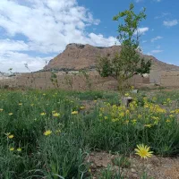 باغ  بلوارکشاورز اصفهان