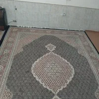 فرشته ریز ماهی